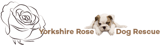 Yorkshire Rose Dog Rescue