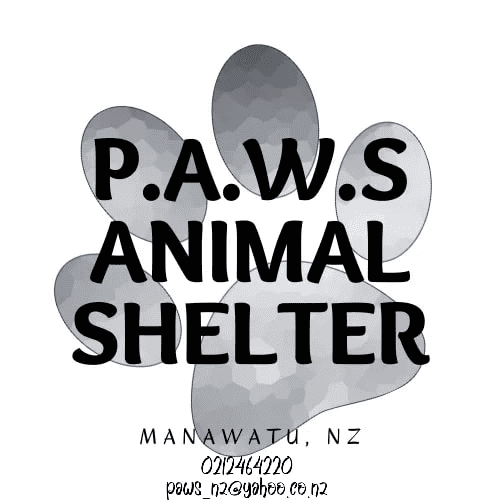 paws animal shelter